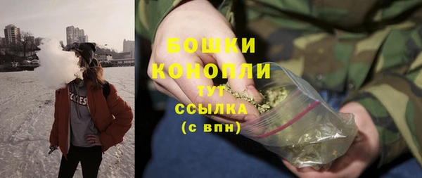 гашик Пересвет