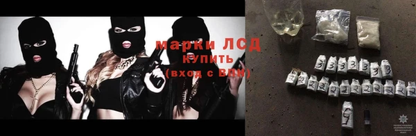 гашик Пересвет