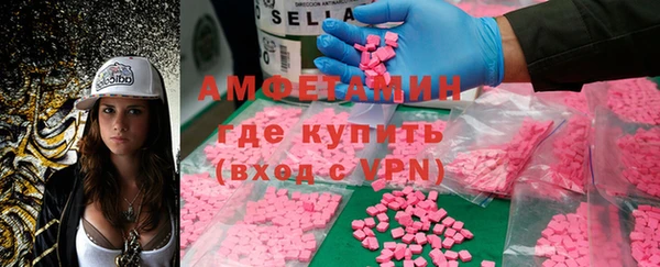 гашик Пересвет