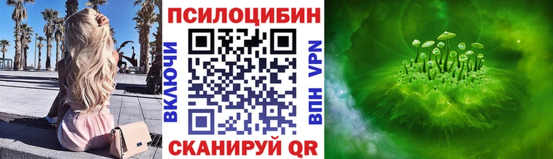 Псилоцибиновые грибы Cubensis  kraken зеркало  Туринск 