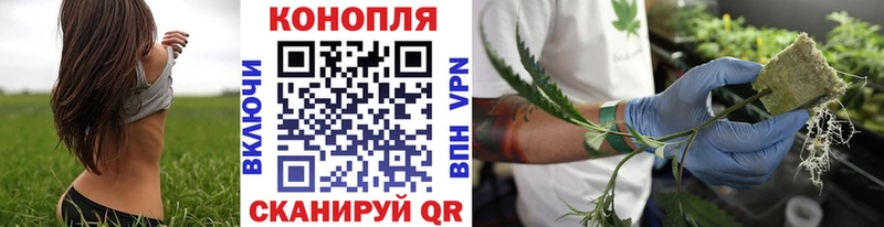 Каннабис планчик  Туринск 